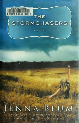 The Stormchasers