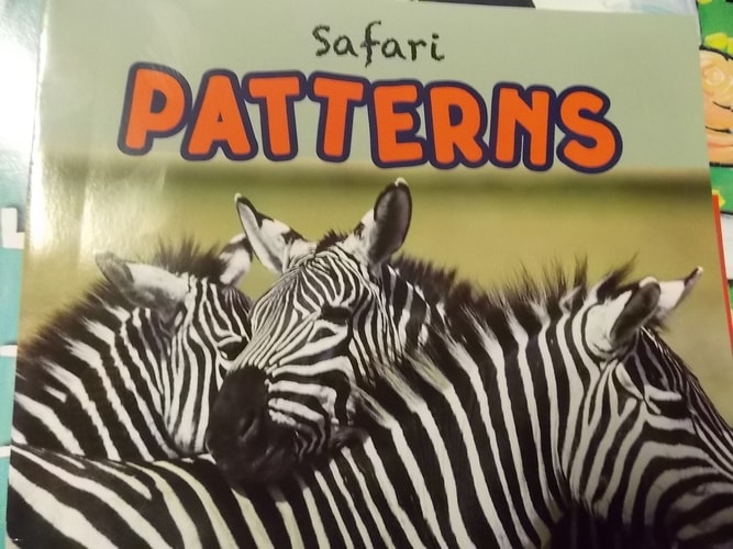 Safari Patterns