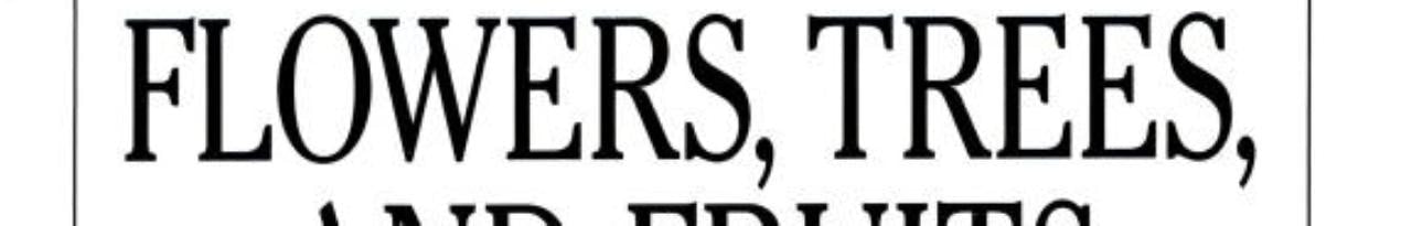 Flowers, Trees, and Fruits (Young Discoverers)