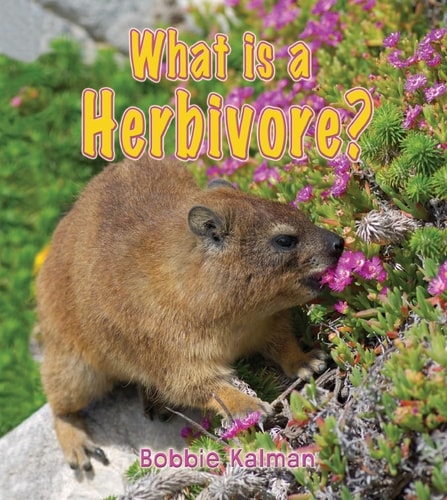 What Is a Herbivore? (Big Science Ideas (Paperback))