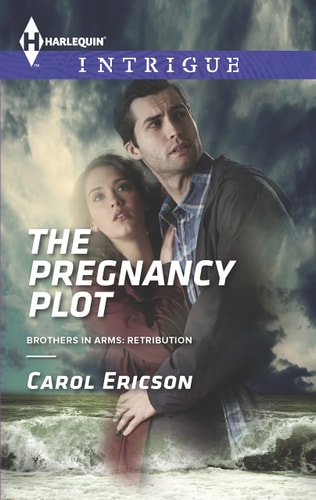 The Pregnancy Plot (Brothers in Arms: Retribution, 2)