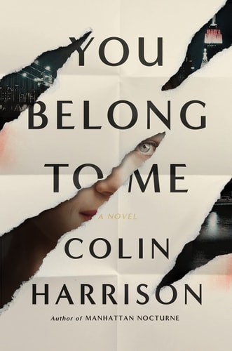 You Belong to Me: A Novel