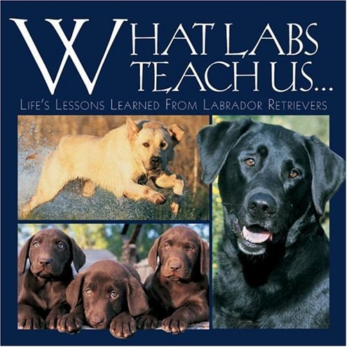 What Labs Teach Us: Life's Lessons Learned from Labrador Retrievers