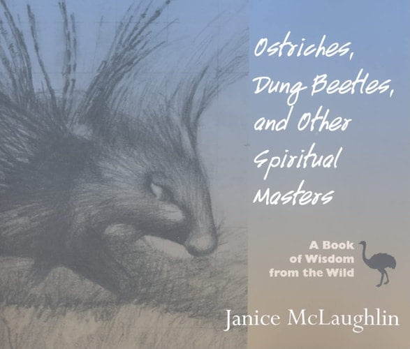 Ostriches, Dung Beetles and Other Spiritual Masters: A Book of Wisdom from the Wild