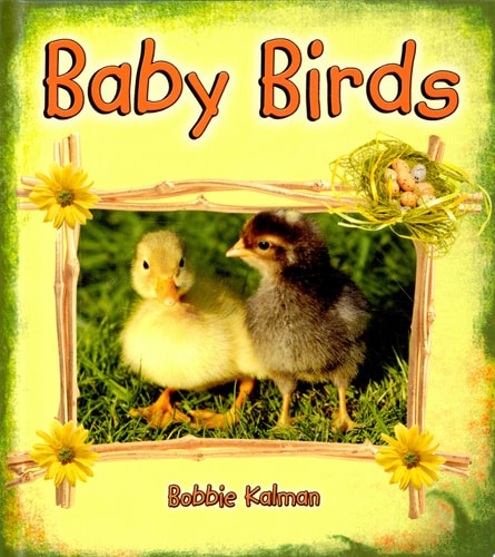 Baby Birds (It's Fun to Learn About Baby Animals)
