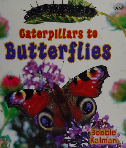 Caterpillars to Butterflies (It's Fun to Learn about Baby Animals)