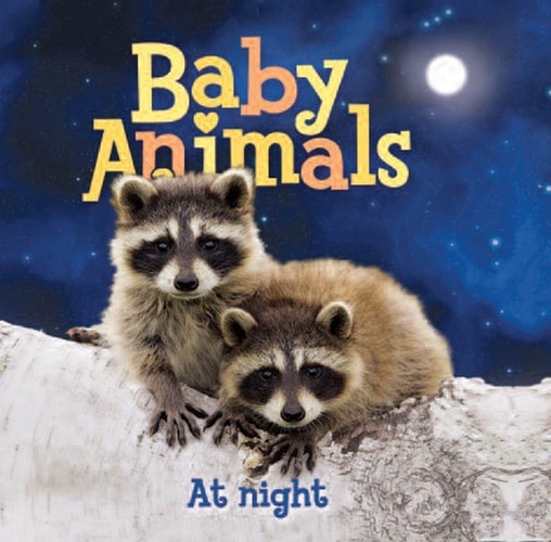 Baby Animals At Night
