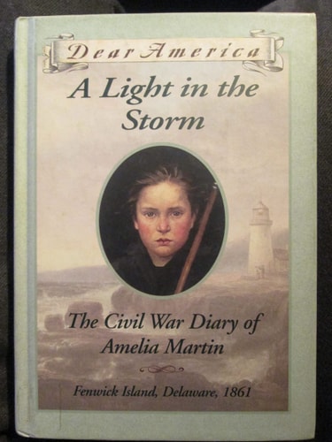 A Light in the Storm The Civil War Diary of Amelia Martin