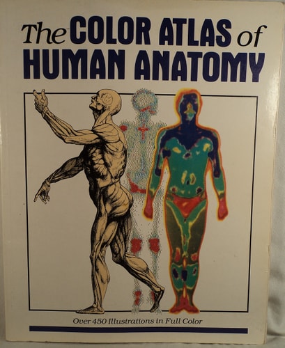 The Color Atlas of Human Anatomy (English and Italian Edition)