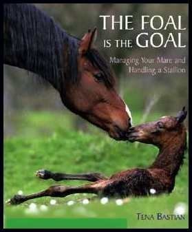 The Foal Is the Goal Managing Your Mare and Handling a Stallion