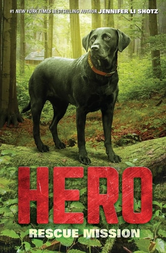 Hero: Rescue Mission (Hero, 3)