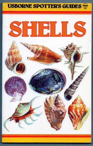 Usborne Spotter's Guides: Shells