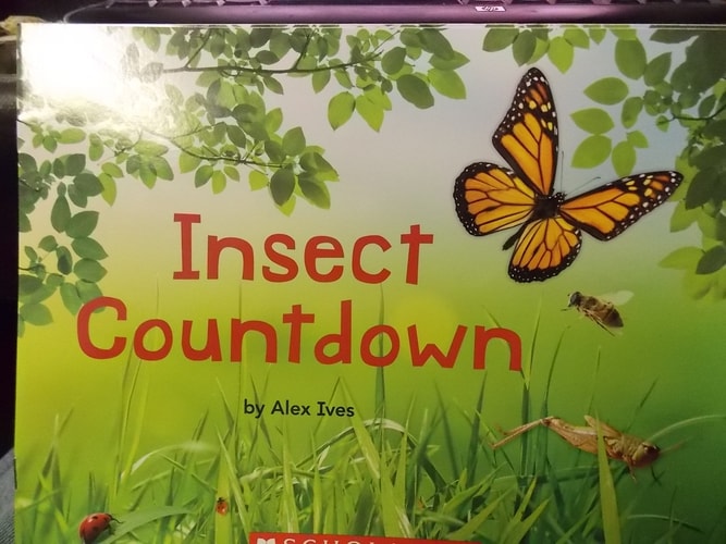 Insect Countdown