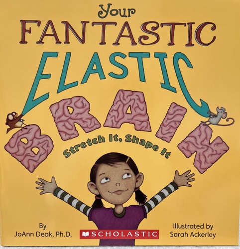 Your Fantastic Elastic Brain Stretch It, Shape it