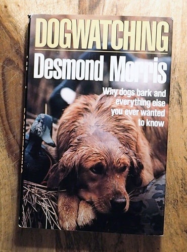 Dogwatching