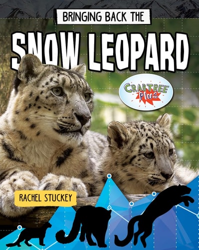 Bringing Back the Snow Leopard (Animals Back from the Brink)