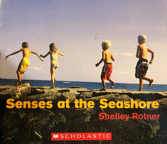 Senses at the Seashore