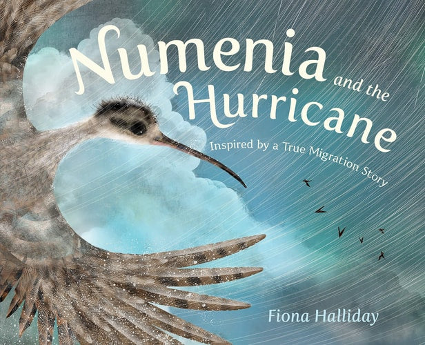Numenia and the Hurricane Inspired by a True Migration Story