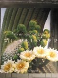 On the Trail of the Desert Wildflower