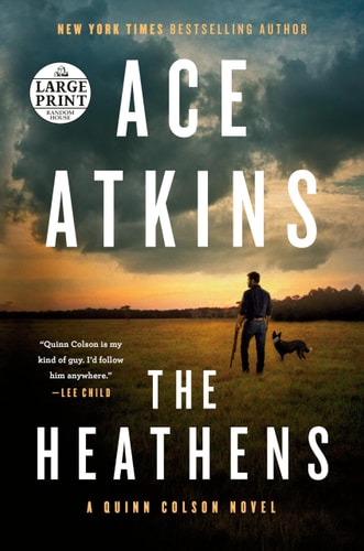 The Heathens (A Quinn Colson Novel)