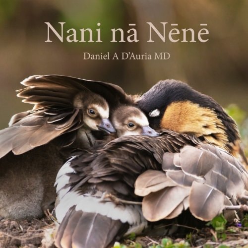 Nani na Nene (DrDADBooks)