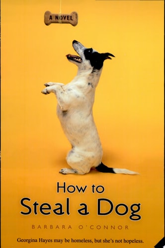 How to Steal a Dog