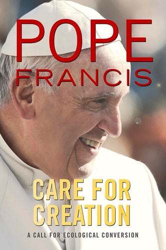 Care for Creation: A Call for Ecological Conversion