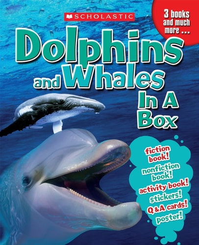 Dolphins & Whales in a Box
