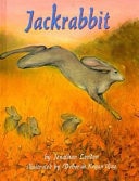 Jackrabbit