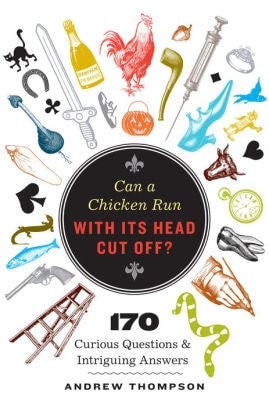 Can a chicken run with its head cut off?