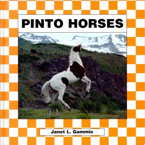 Pinto Horses
