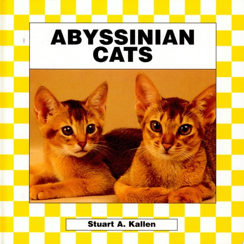 Abyssinian Cats (CATS SET I)