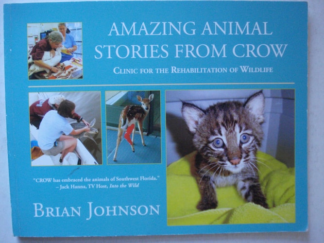 Amazing Animal Stories From Crow : Clinic for the Rehabilitation of Wildlife