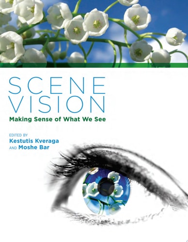 Scene Vision: Making Sense of What We See (The MIT Press)
