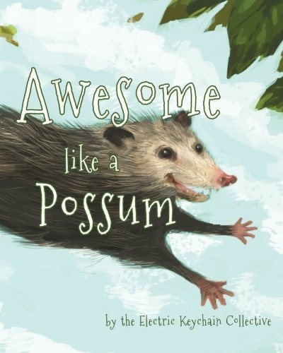 Awesome like a Possum: by The Electric Keychain Collective