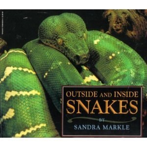 Outside and Inside Snakes