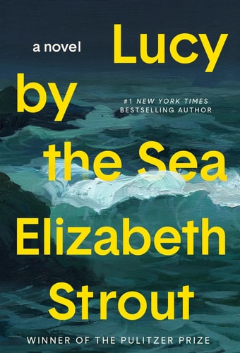 Lucy by the Sea A Novel