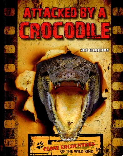 Attacked by a Crocodile (Close Encounters of the Wild Kind)