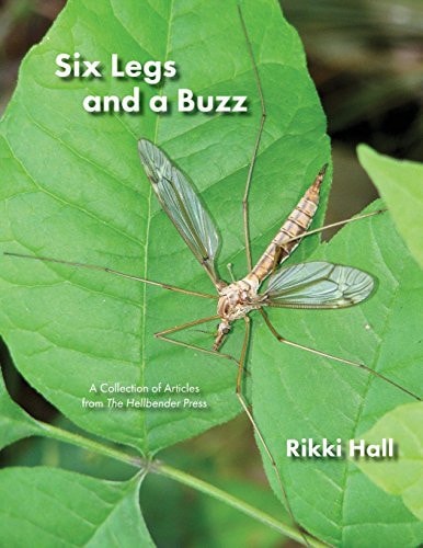 Six Legs and a Buzz