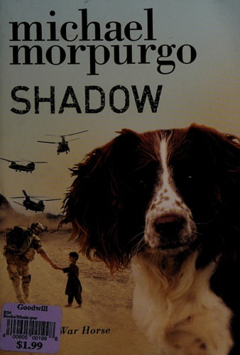 Shadow