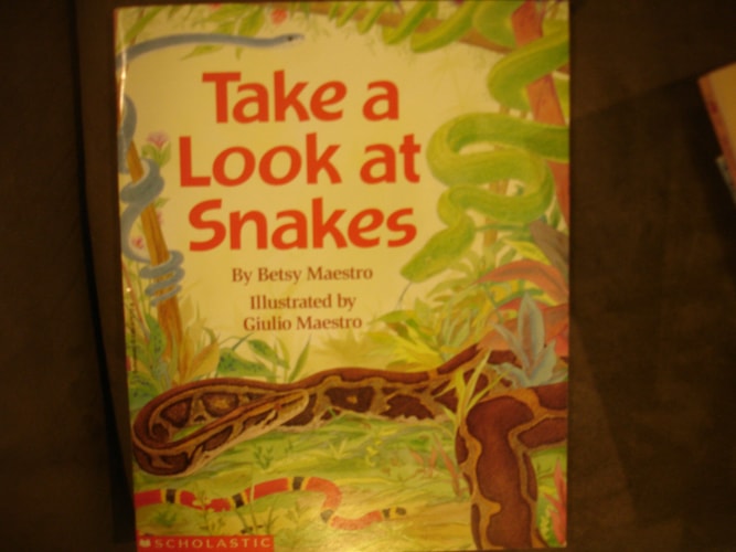 Take a Look At Snakes