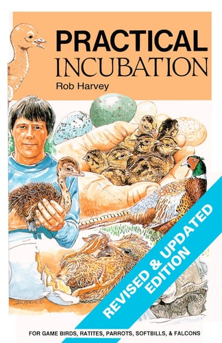 Practical Incubation
