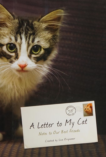 A Letter to My Cat: Notes to Our Best Friends