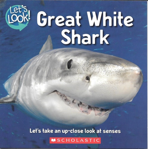 Let's Look! Great White Shark