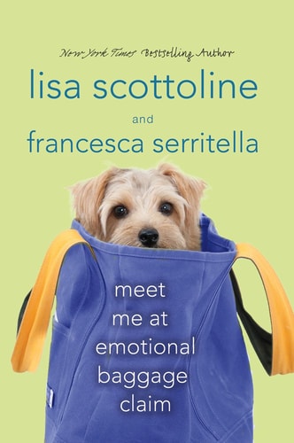 Meet Me at Emotional Baggage Claim
