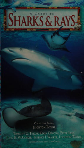 A Guide to Sharks & Rays