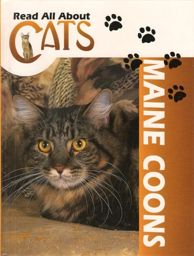 Maine Coons (Read All About Cats)