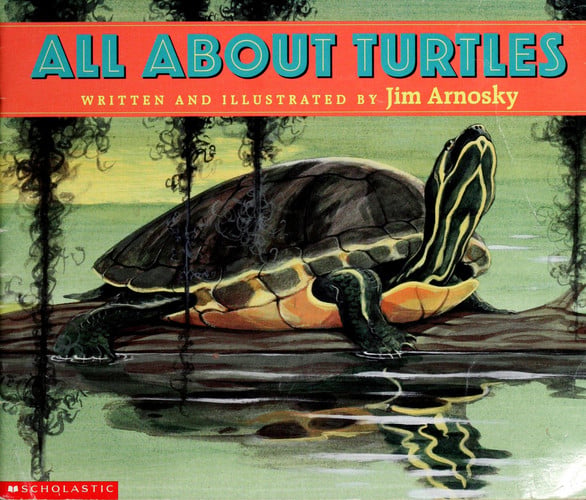 All about Turtles