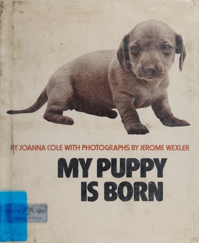 My puppy is born