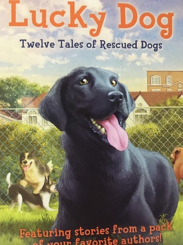 Lucky Dog Twelve Tales of Rescued Dogs